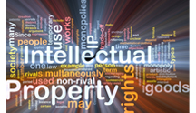 La propiedad intelectual y la innovación